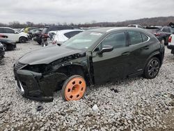 Lexus ux 250h salvage cars for sale: 2019 Lexus UX 250H