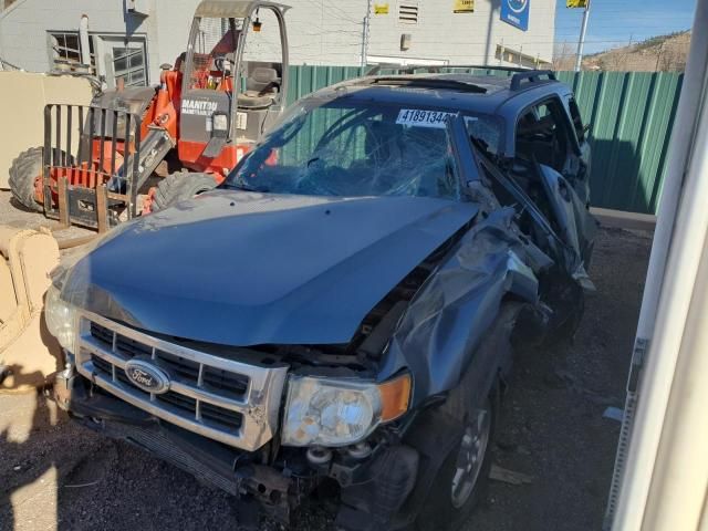 2010 Ford Escape XLT