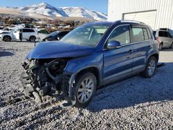 Volkswagen Tiguan salvage cars for sale: 2010 Volkswagen Tiguan S