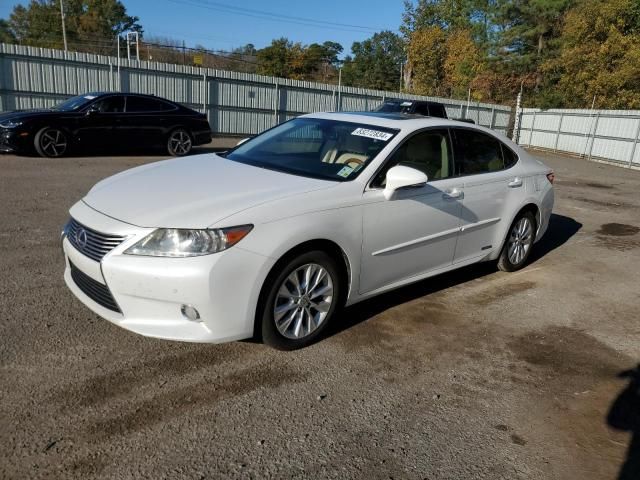 2013 Lexus ES 300H