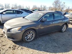 Nissan Maxima salvage cars for sale: 2011 Nissan Maxima S