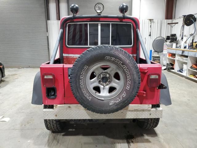 1992 Jeep Wrangler / YJ S