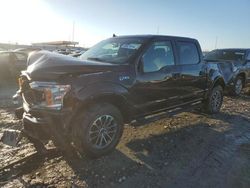 Ford f-150 salvage cars for sale: 2019 Ford F150 Supercrew