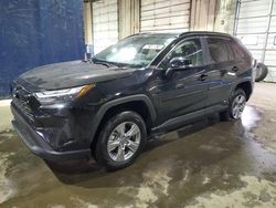 Toyota rav4 salvage cars for sale: 2024 Toyota Rav4 XLE