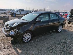 Toyota Corolla salvage cars for sale: 2013 Toyota Corolla Base