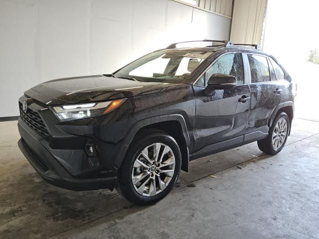 2024 Toyota Rav4 XLE Premium