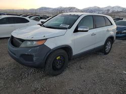 KIA Sorento salvage cars for sale: 2011 KIA Sorento Base