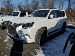 Lexus salvage cars for sale: 2023 Lexus GX 460