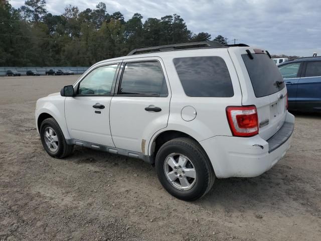 2010 Ford Escape XLT