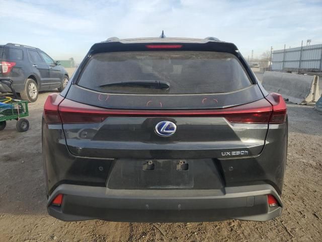 2021 Lexus UX 250H