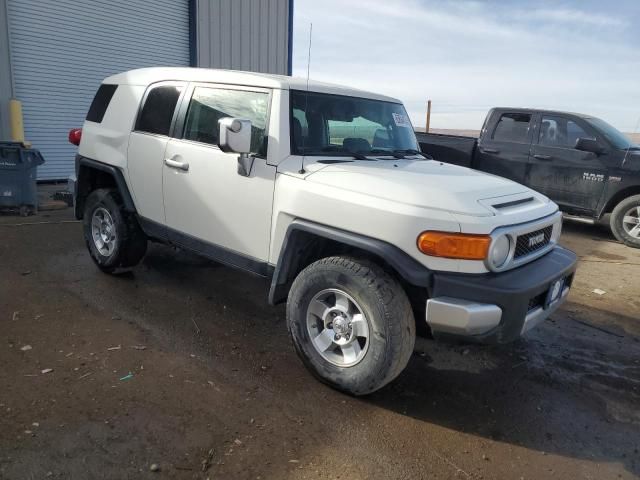 2010 Toyota FJ Cruiser