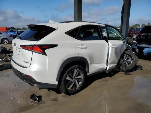 2019 Lexus NX 300 Base