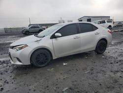 Salvage cars for sale from Copart Airway Heights, WA: 2015 Toyota Corolla L