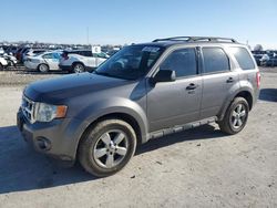 2009 Ford Escape XLT for sale in Sikeston, MO