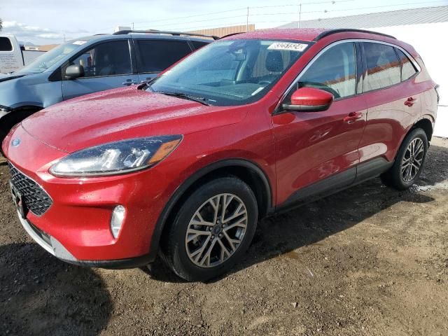 2021 Ford Escape SEL