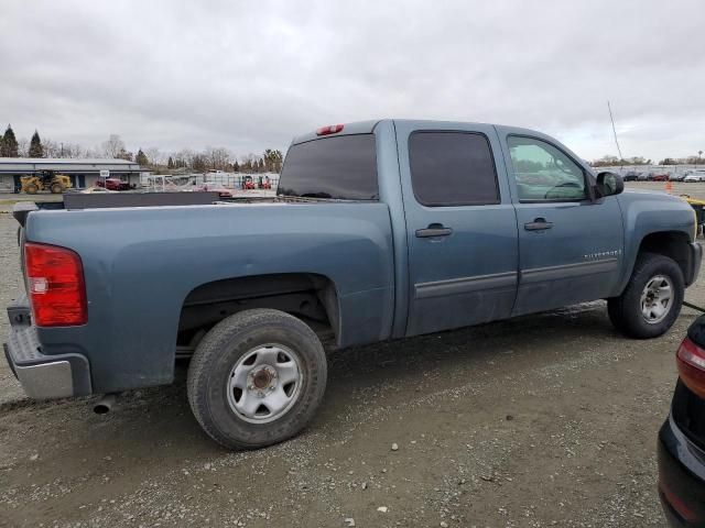 2009 Chevrolet Silverado C1500