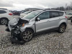 Ford Escape sel salvage cars for sale: 2013 Ford Escape SEL