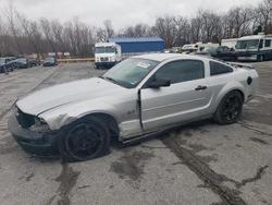 Ford Vehiculos salvage en venta: 2005 Ford Mustang