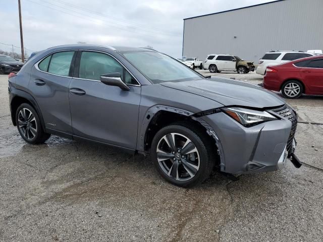 2021 Lexus UX 250H