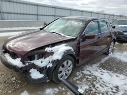 Honda Accord salvage cars for sale: 2010 Honda Accord EXL