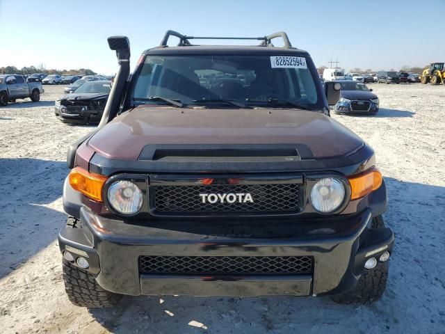 2007 Toyota FJ Cruiser