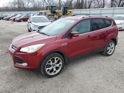 Ford Escape salvage cars for sale: 2014 Ford Escape Titanium