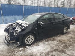 Toyota salvage cars for sale: 2019 Toyota Prius