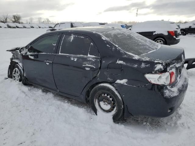 2010 Toyota Corolla Base