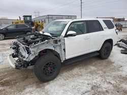 Toyota salvage cars for sale: 2023 Toyota 4runner SE