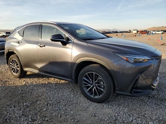 2024 Lexus NX 350H Base