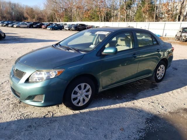 2010 Toyota Corolla Base