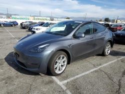 Tesla Model y salvage cars for sale: 2023 Tesla Model Y