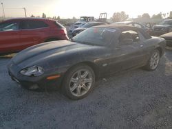 1999 Jaguar XK8 for sale in Mentone, CA