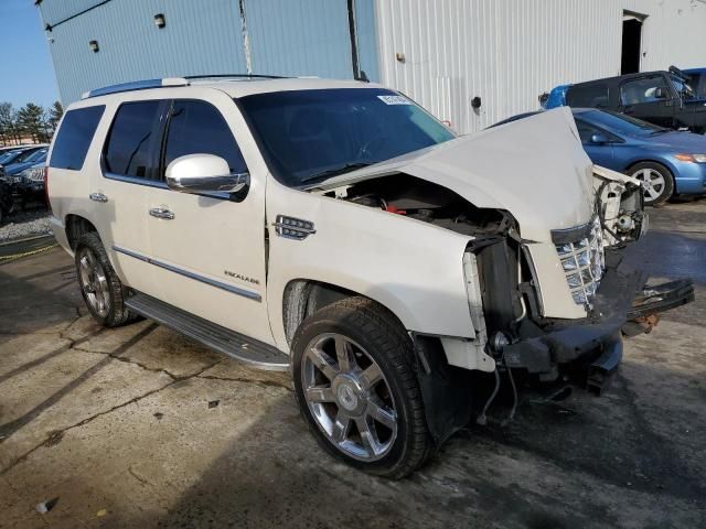 2010 Cadillac Escalade Luxury