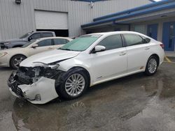 Toyota salvage cars for sale: 2013 Toyota Avalon Hybrid