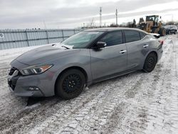 Nissan Maxima salvage cars for sale: 2016 Nissan Maxima 3.5S