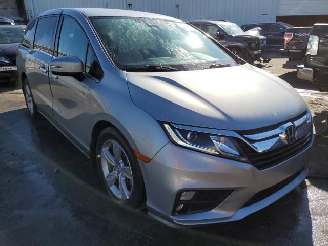 2019 Honda Odyssey EX