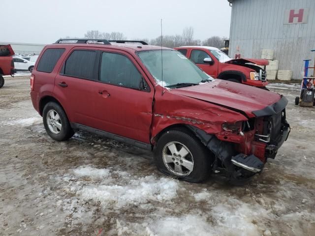 2011 Ford Escape XLT