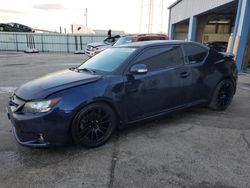 Scion salvage cars for sale: 2013 Scion TC