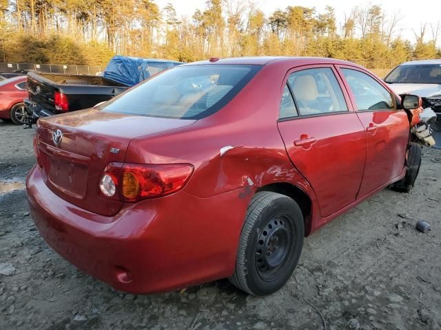 2010 Toyota Corolla Base