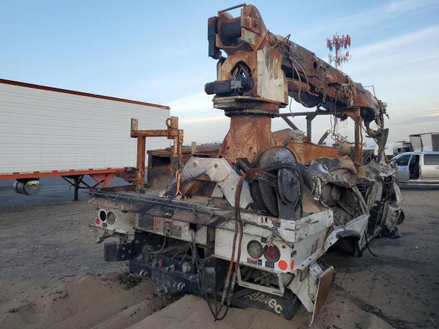 2019 Freightliner M2 106 Medium Duty