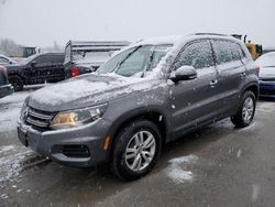 Volkswagen salvage cars for sale: 2016 Volkswagen Tiguan S