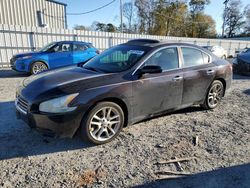 Nissan Maxima salvage cars for sale: 2011 Nissan Maxima S