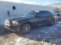 Dodge Charger salvage cars for sale: 2013 Dodge Charger Police