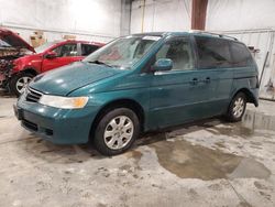 Honda Vehiculos salvage en venta: 2002 Honda Odyssey EX