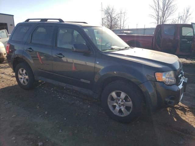 2008 Ford Escape Limited