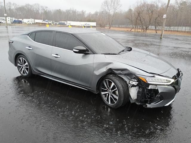 2023 Nissan Maxima SV