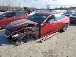 Cadillac ct5 salvage cars for sale: 2024 Cadillac CT5 Premium Luxury