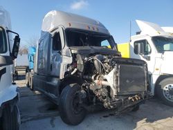 Freightliner Cascadia 126 salvage cars for sale: 2024 Freightliner Cascadia 126