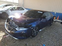 Nissan Maxima salvage cars for sale: 2021 Nissan Maxima SV